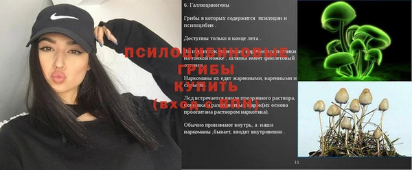 твердый Алексеевка