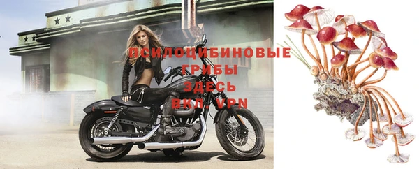 прущий лед Алзамай