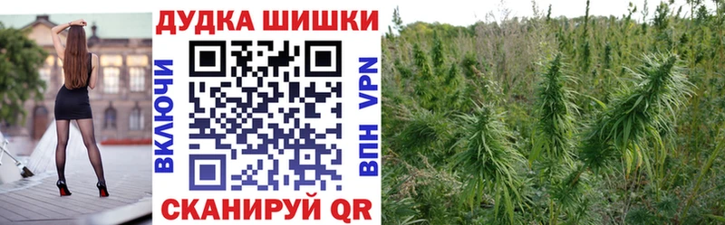 Бошки Шишки сатива  Покров 